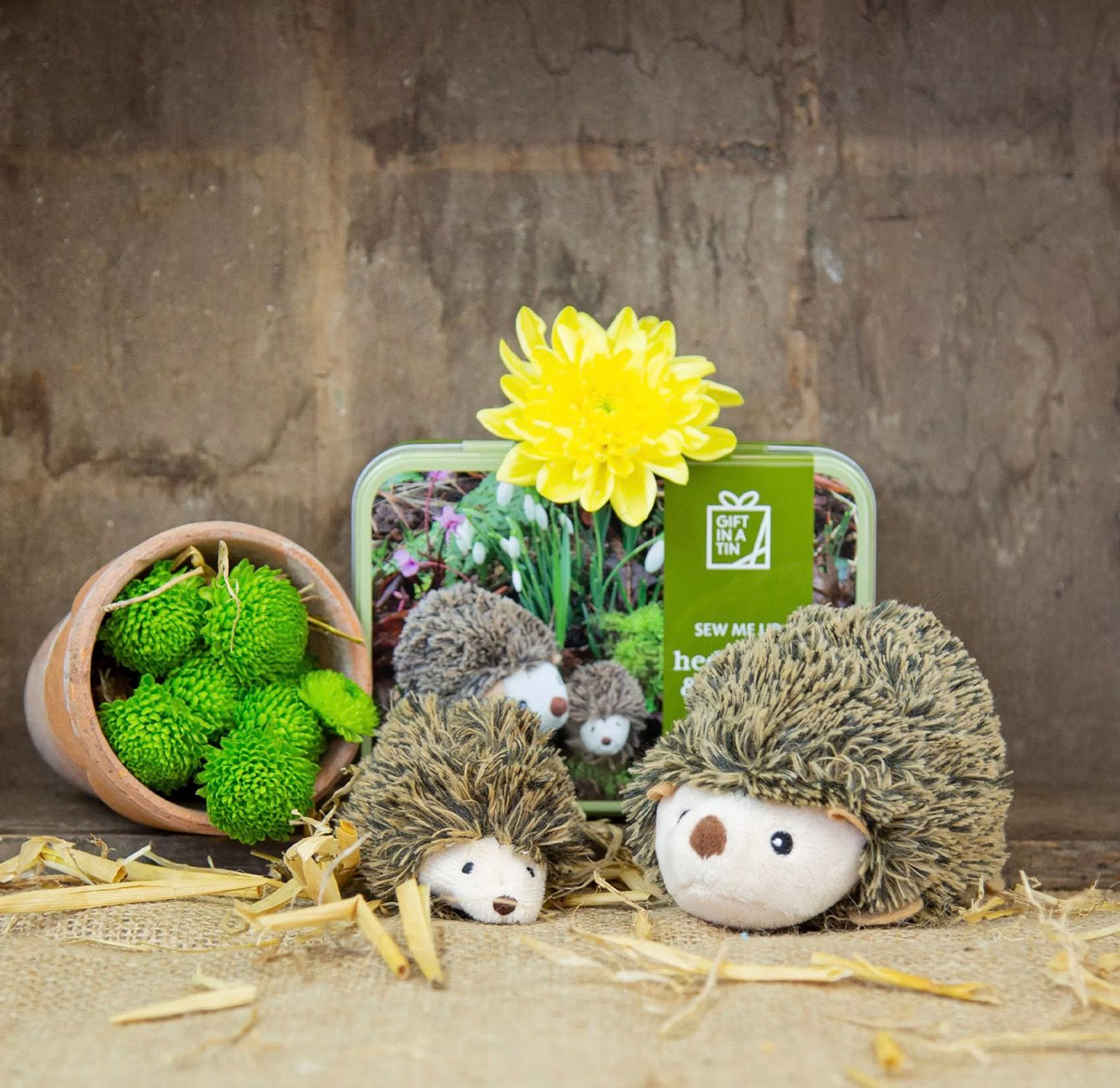 Sew Me Up: Hedgehog & Hoglet