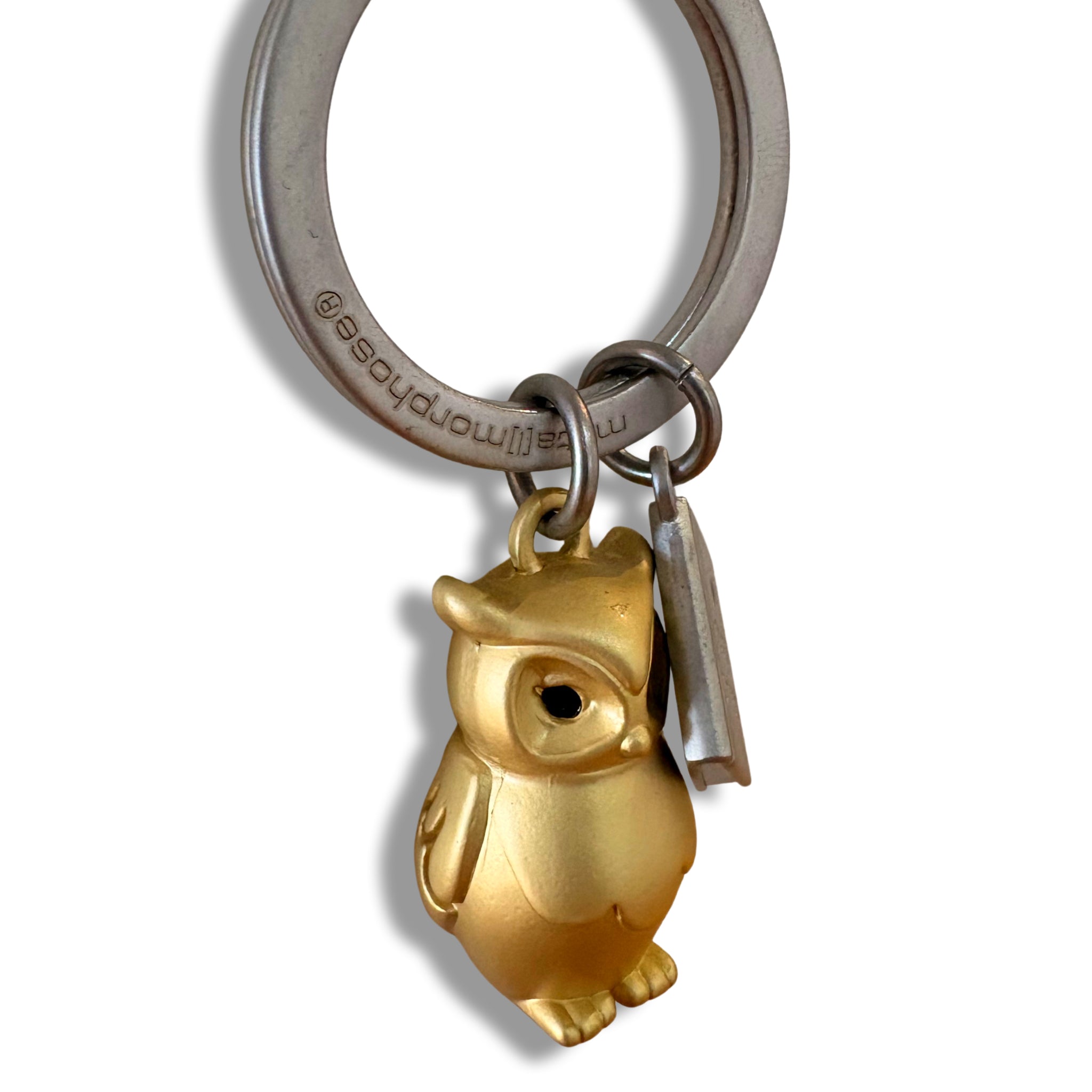 Book Lover Owl Keyring
